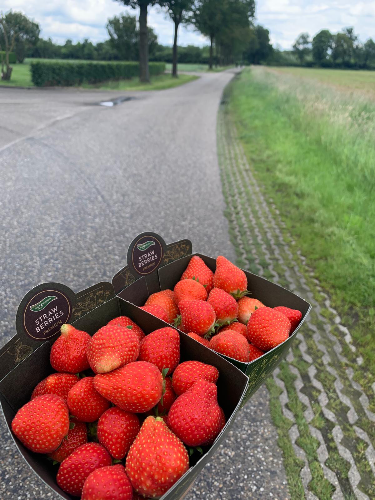 Entrepreneurship is like farming